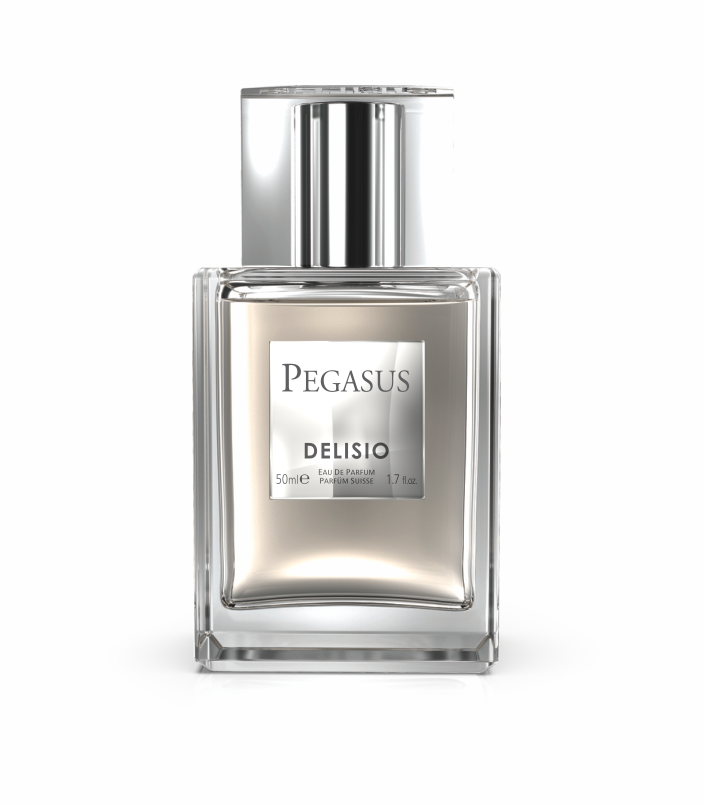 (پگاسوس) PEGASUS